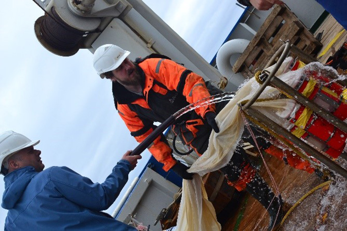 Anna van de Kaaden and Evert de Froe bend over the creatures that have fished up on board the research vessel Pelagia. Anna van de Kaaden and Evert de Froe bend over the creatures that have fished up on board the research vessel Pelagia.