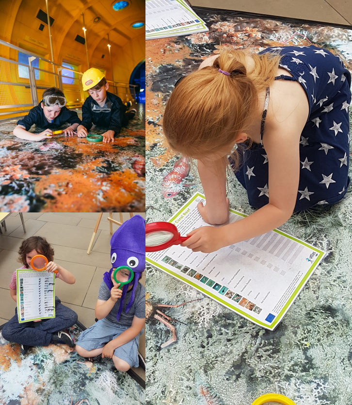 Reef Survey Mat