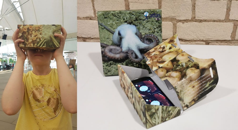 cardboard edu